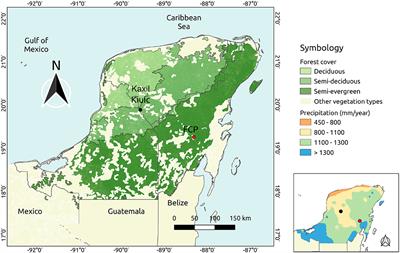 Isolating the effects of land use and functional variation on Yucatán's forest biomass under global change